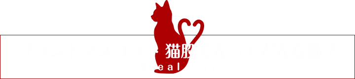 Stealcat
